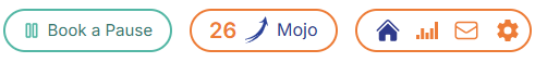 Mojo balance in the navigation bar